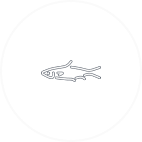 onlinemahi conduct you to wish